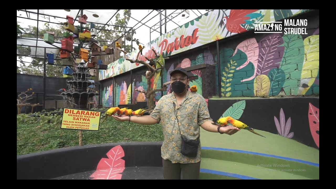 Eco Green Park Batu 2021, Bisa Kenalan Sama Burung Dari Seluruh Dunia!