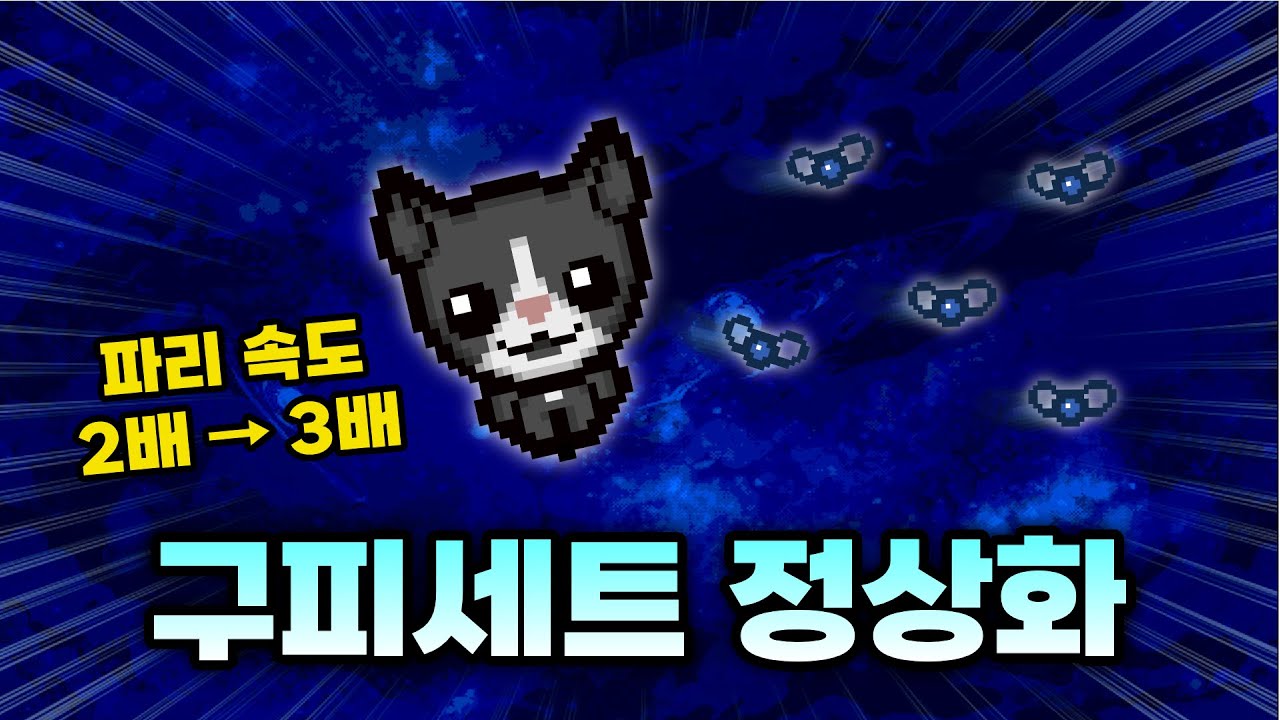 【아이작 대결】과거의 영광을 되찾게된 구피 세트 (1티어 세트 강림) - 【아이작:리펜턴스】