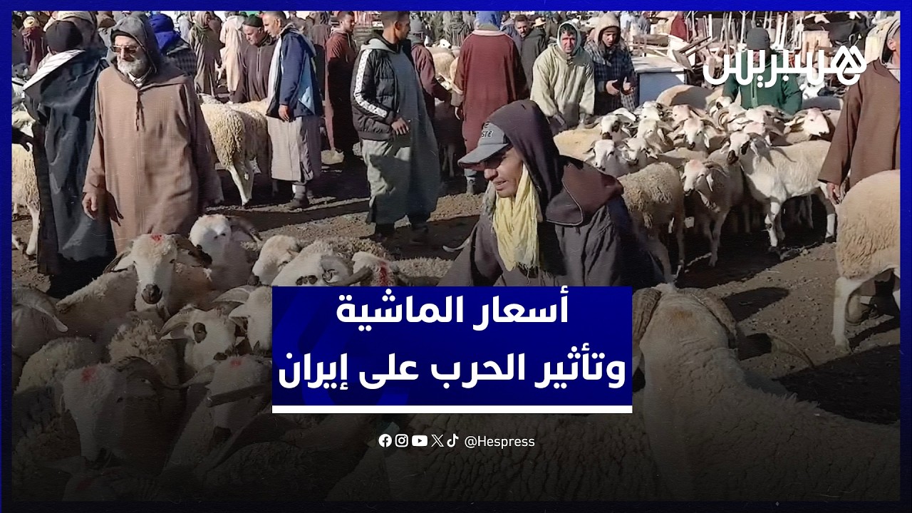 من سوق أربعاء السويهلة ناحية مراكش.. كسابة يؤكدون استقرار الأسعار رغم تأثير الحرب على إيران