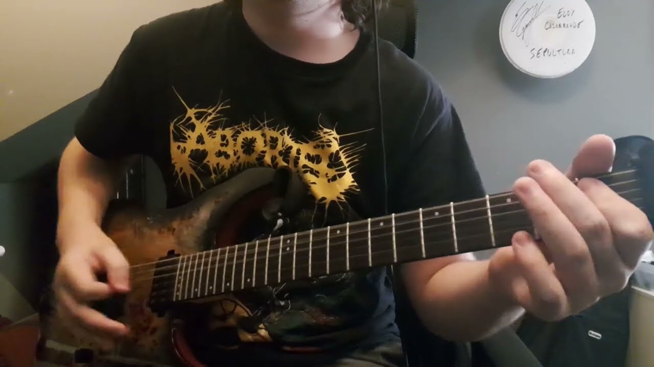 Sunami - Contempt of Cop guitar cover