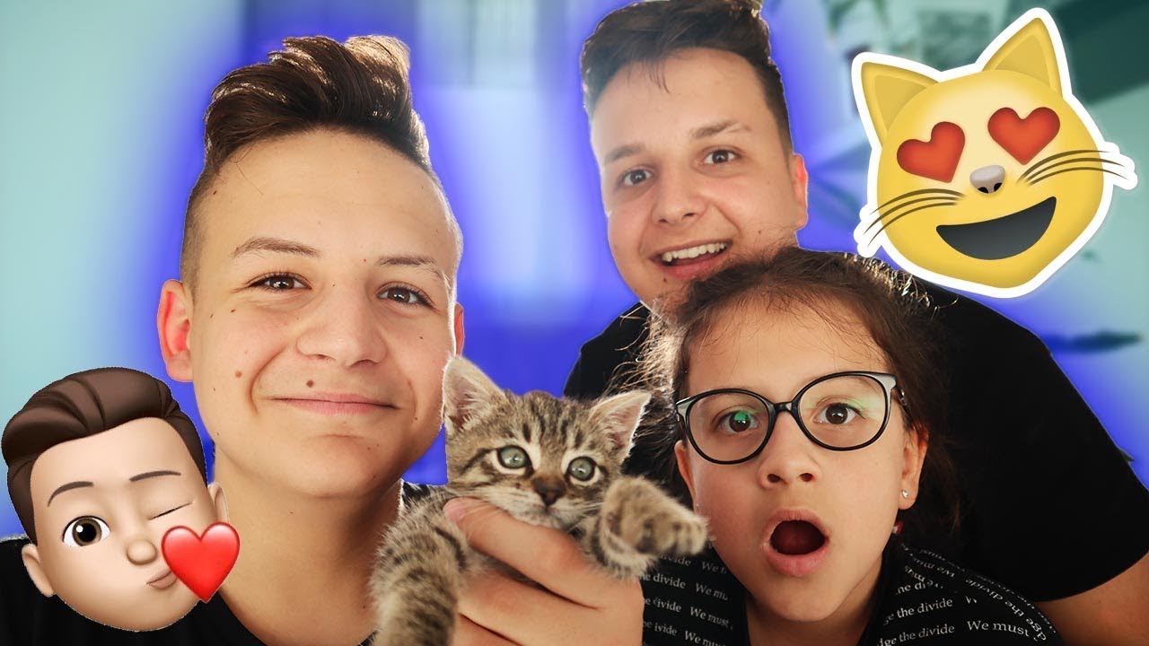 MEGLEPTEM A TESTVÉREIMET EGY CICÁVAL! 🐱 (kamilla majdnem sírt)