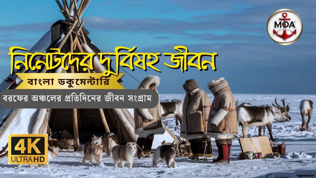 Life of the Nenets Tribe in Siberia bangla Documentary by Mirror of Adventure