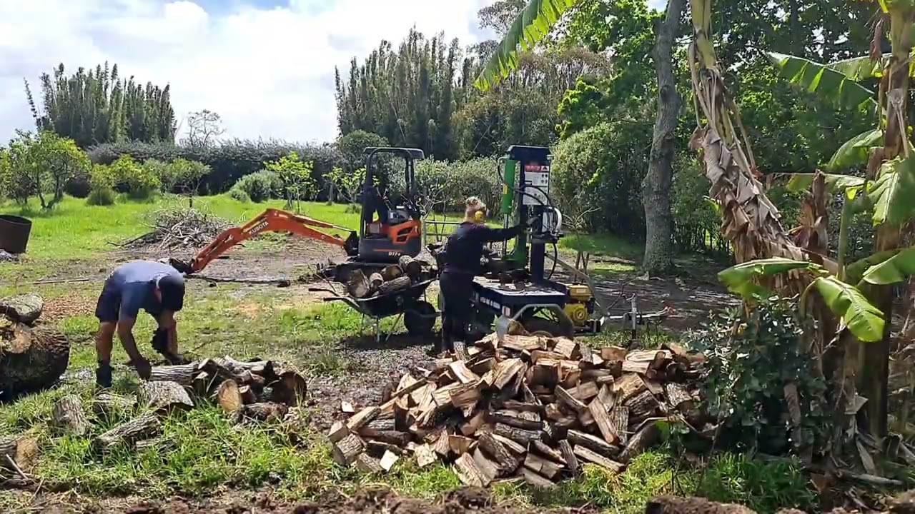 Splitting an  oak we cut earlier in the year