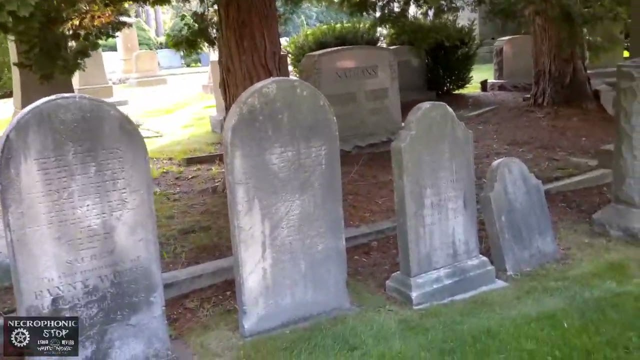 Investigating Unknown Cemetery, Part 1