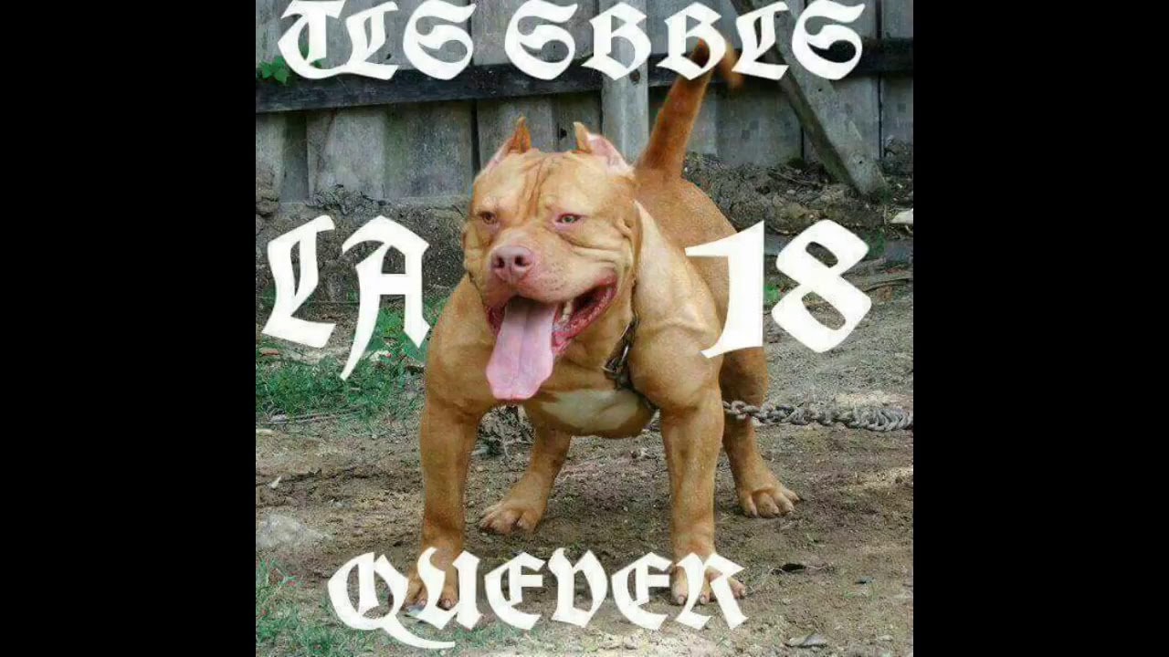 Quever Pueblo sin ley