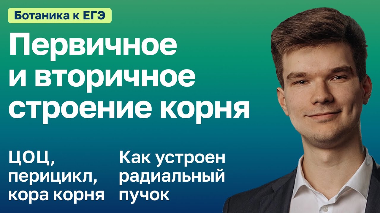 7.26. Первичное и вторичное строение корня  | Ботаника к ЕГЭ | Георгий Мишуровский