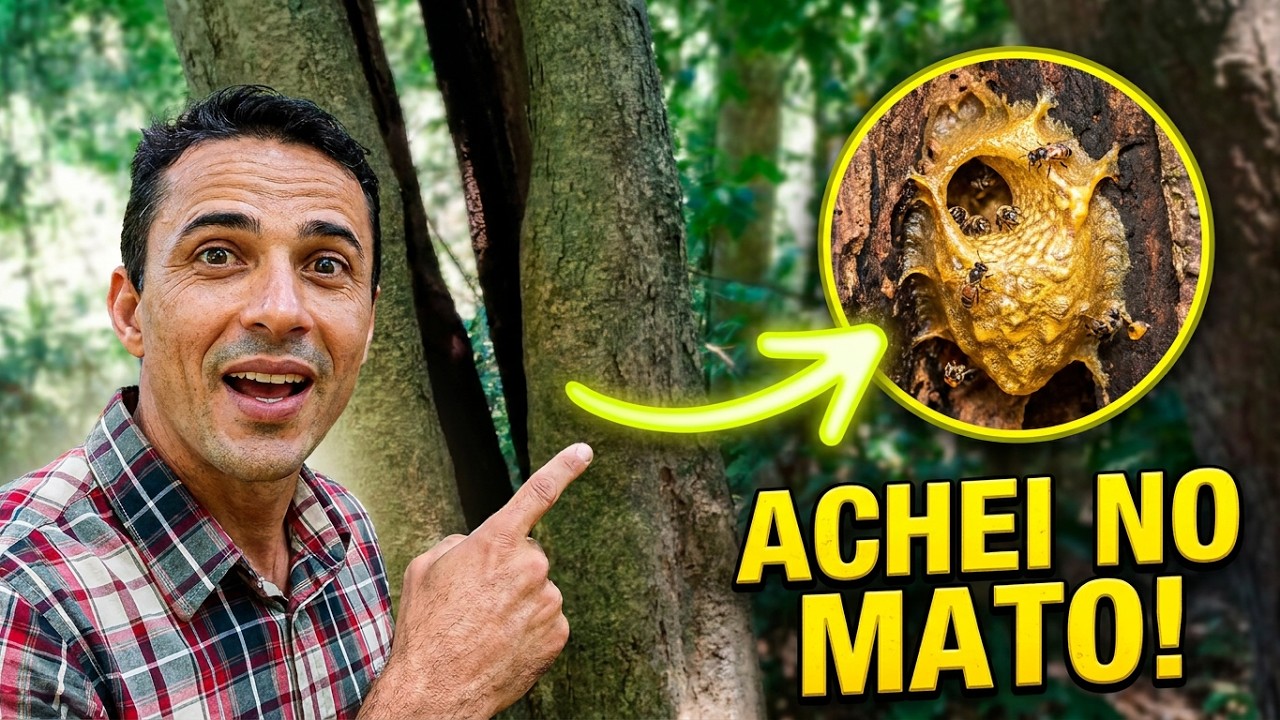 ISCA ENTERRADA PARA MANDAÇAIA? Testando Dicas de Inscritos na Floresta!