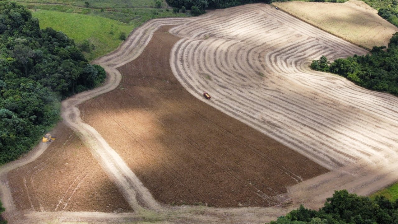 SOBREVOANDO A COLHEITA DE SOJA - AQUI É PARANÁ 🇧🇷🤠 dji mini2 