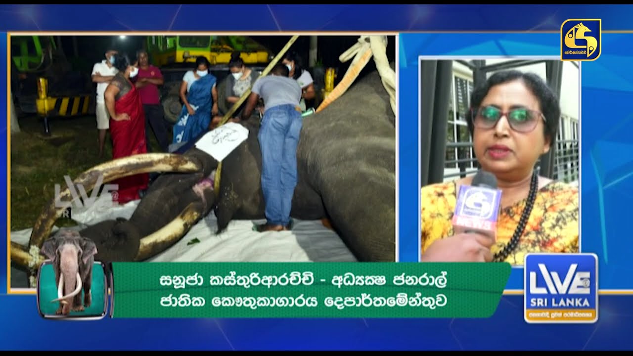 ඓතිහාසික පුනරාගමනය නැදුන්ගමුවේ හස්තියා වසර හතරකට පසු මහජන ගෞරවයට