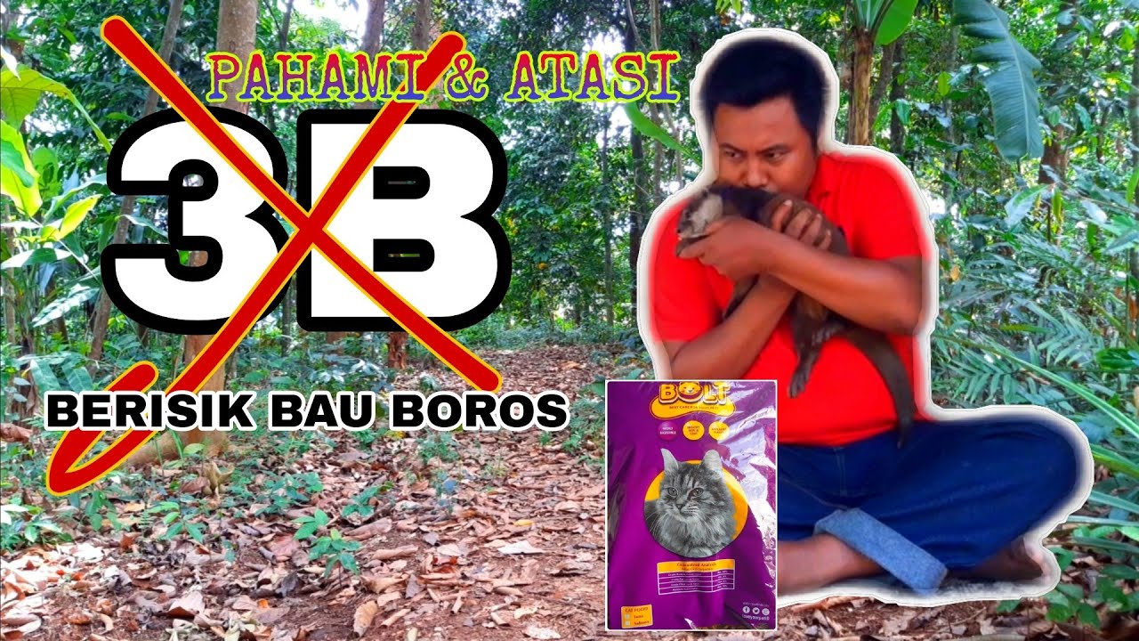 Cara mengatasi 3B Berisik Bau Boros pada Otter Jinak | pahami dulu 3B