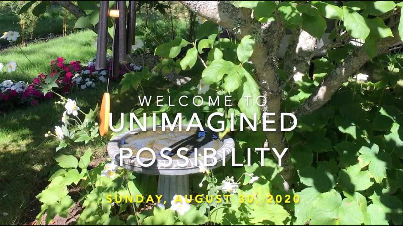 Unimagined Possibility