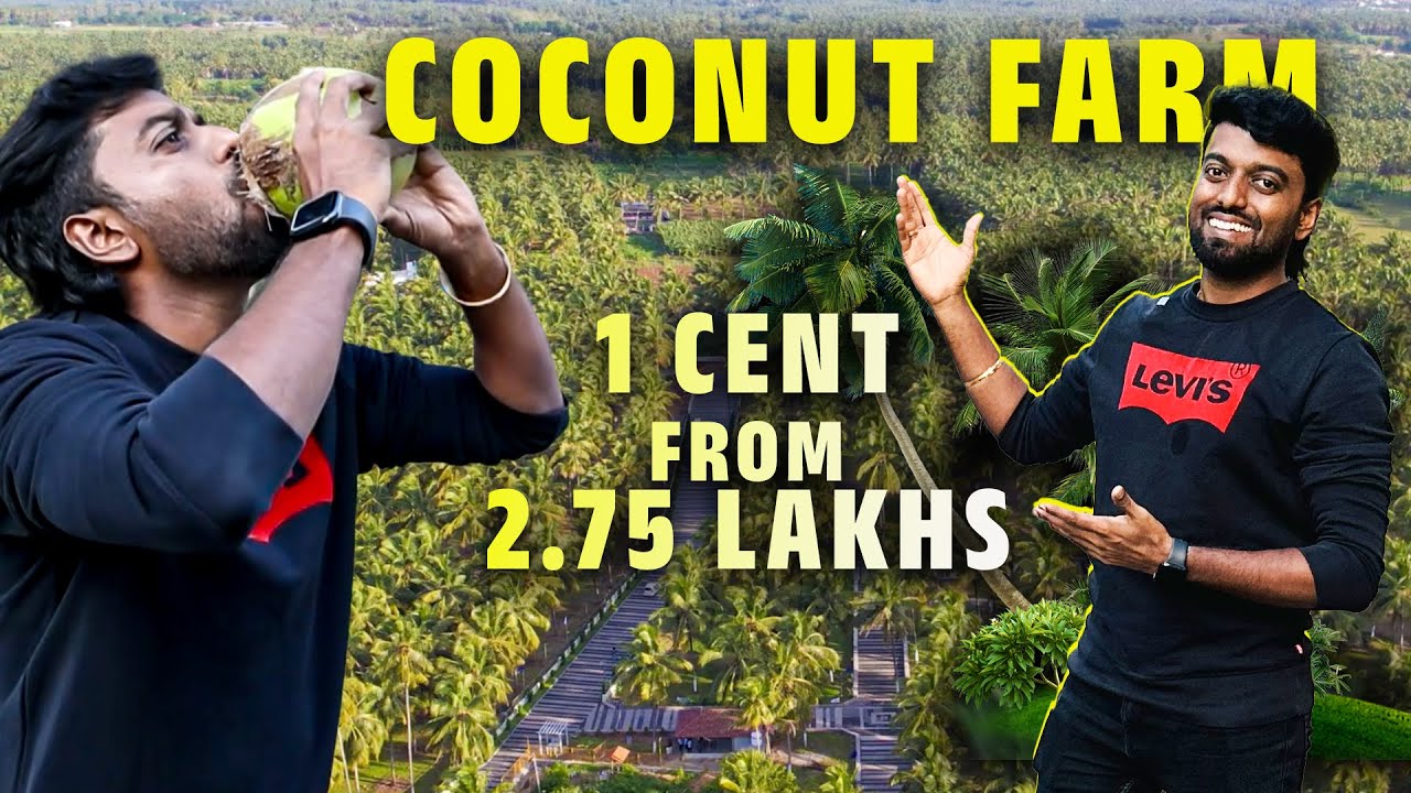 COCONUT FARM Cent from 2.75 Lakhs !! Coimbatore - பொள்ளாச்சி தோப்பு இளநீர் 🌴