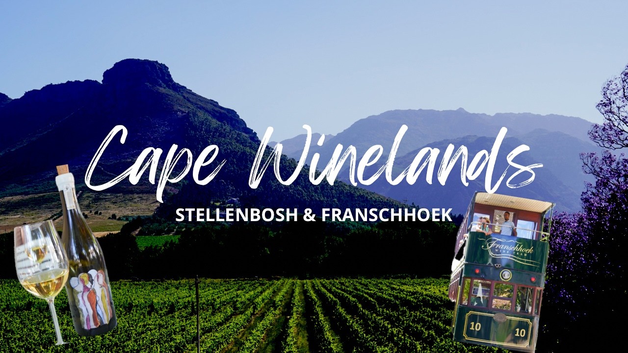 Cape Winelands Vlog | Stellenbosch | Franschhoek | Wine Tram | Wine Tasting | Boschendal