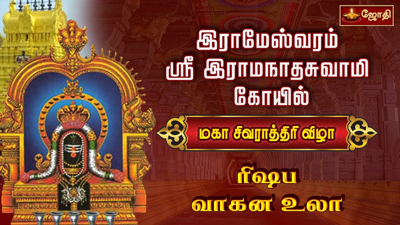 இராமேஸ்வரம் ஸ்ரீ இராமநாதசுவாமி கோயில் - மகா சிவராத்திரி விழா - ரிஷப வாகன உலா | Rameswaram