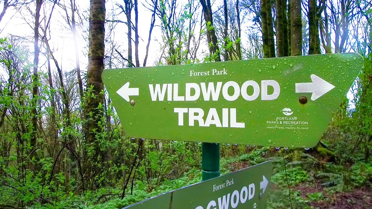 Run Portland: Forest Park (DJI Osmo+)