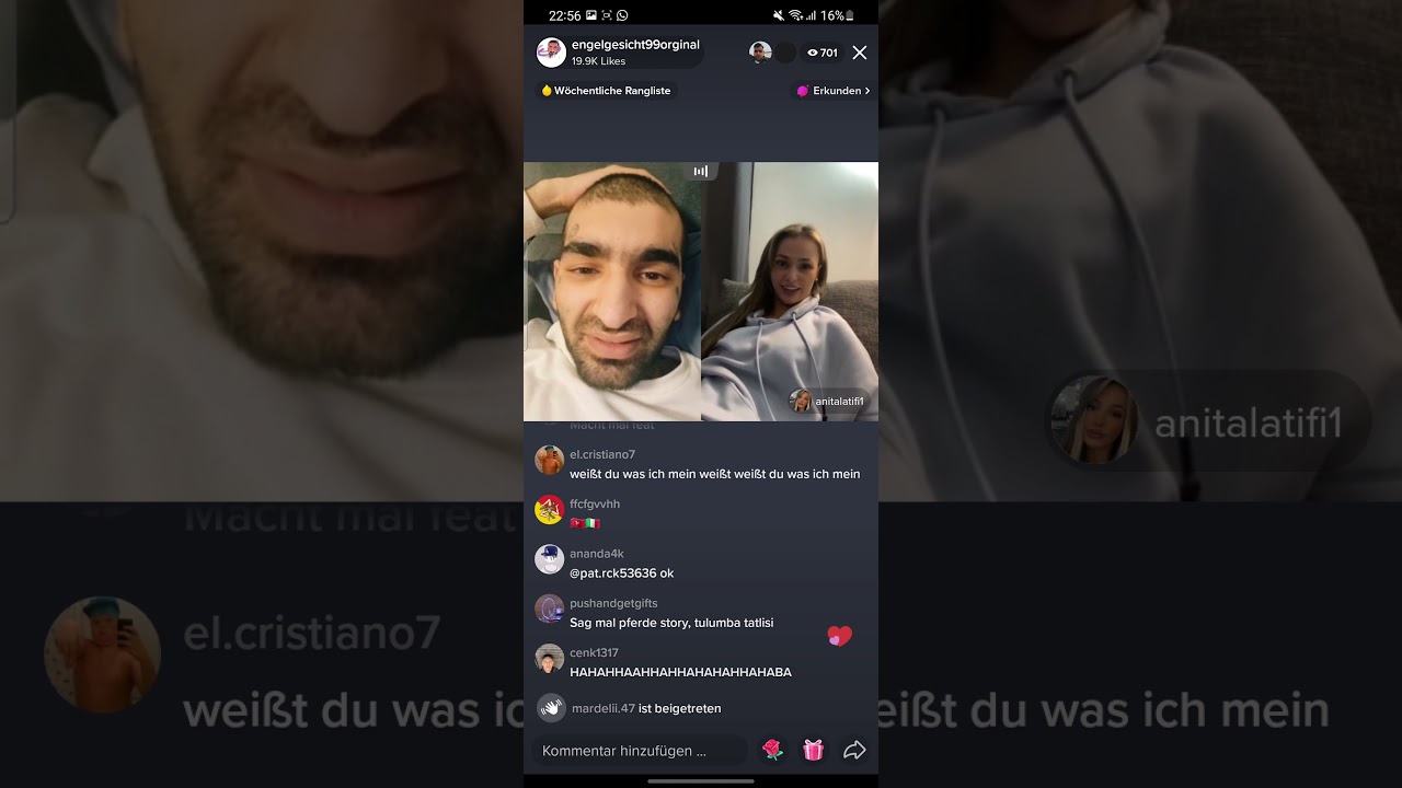Pferde Story und Anita