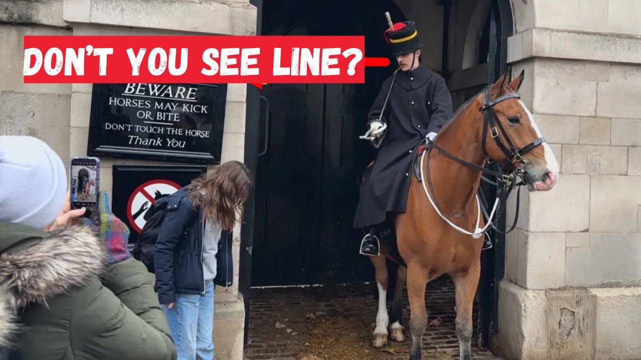 Horse Guard Reaction as Tourist Disobeys Safety Signs