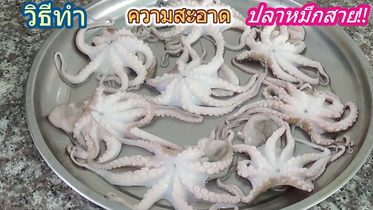 วิธีทำความสะอาด ปลาหมึกสาย ด้วย 2 วิธีง่ายๆ  ก่อนเอามาปรุงอาหาร..