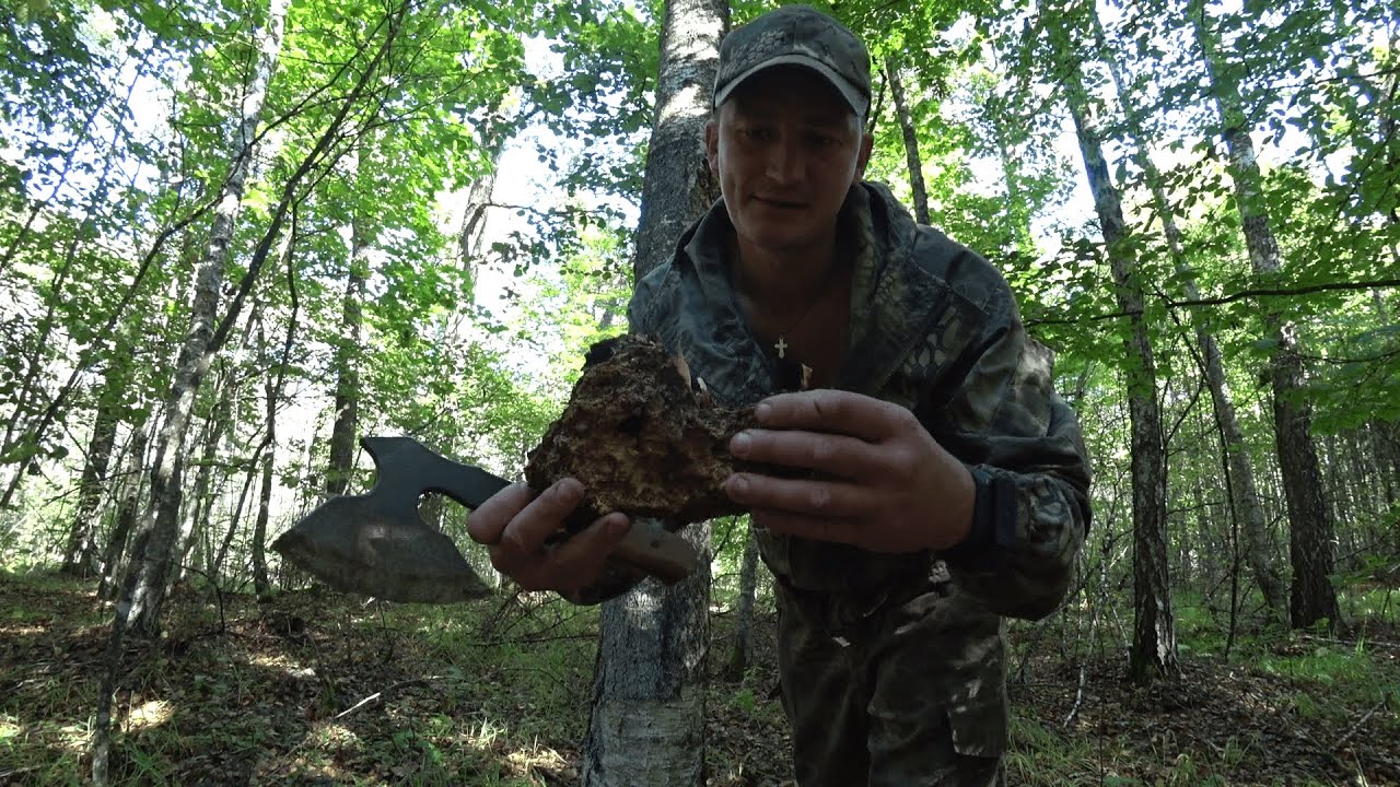 КУПИЛ ХУТОР в ЛЕСУ на краю БОЛОТА. Часть 70. УРОК от ПРОФЕССИОНАЛА. ЧАГА.  ЖИЗНЬ в ЛЕСУ.