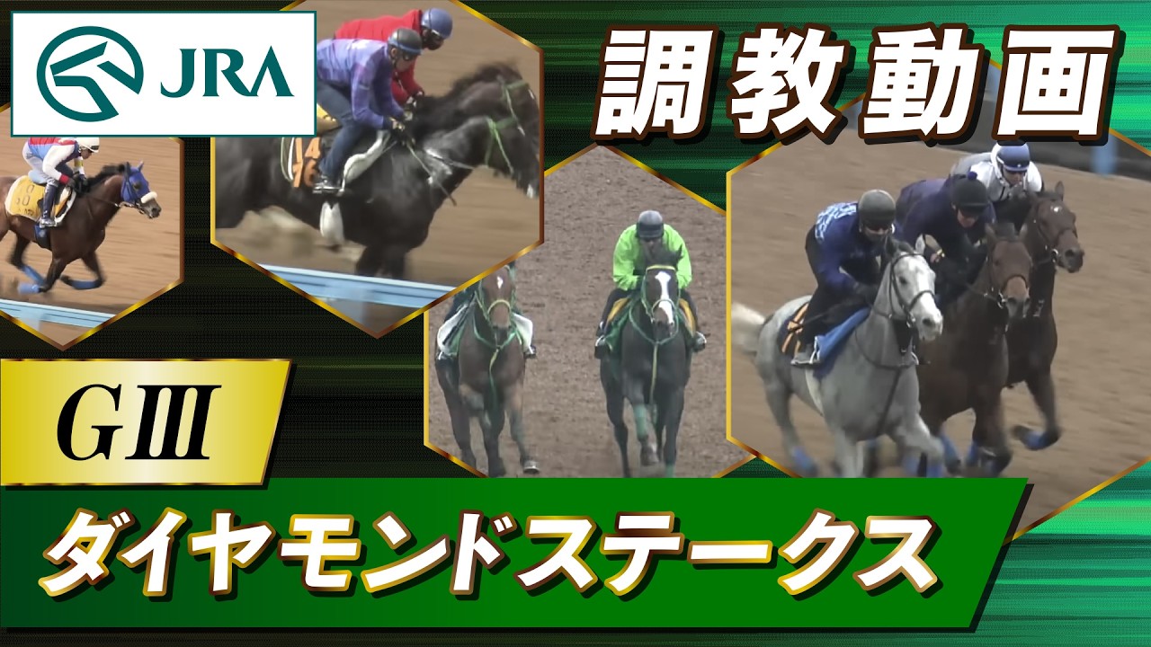 【調教動画】2026年 ダイヤモンドステークス｜JRA公式