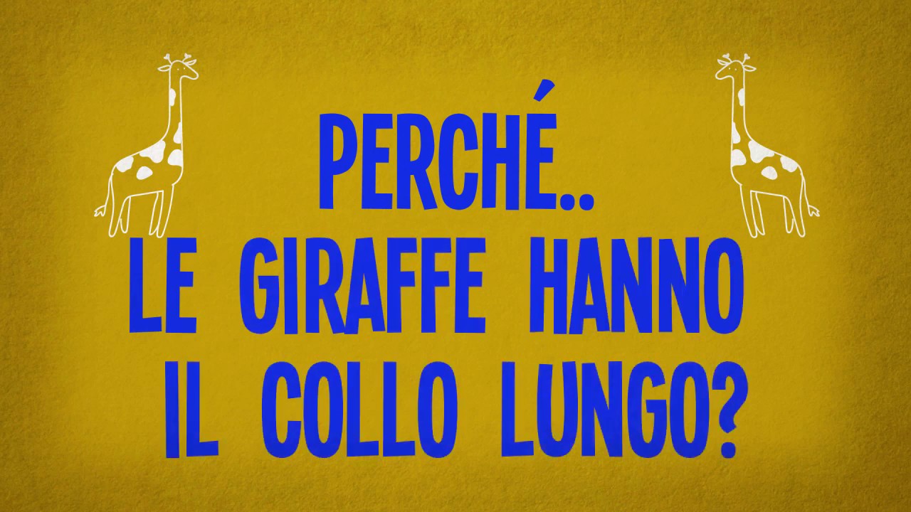 Perch&eacute; le giraffe hanno il collo lungo?