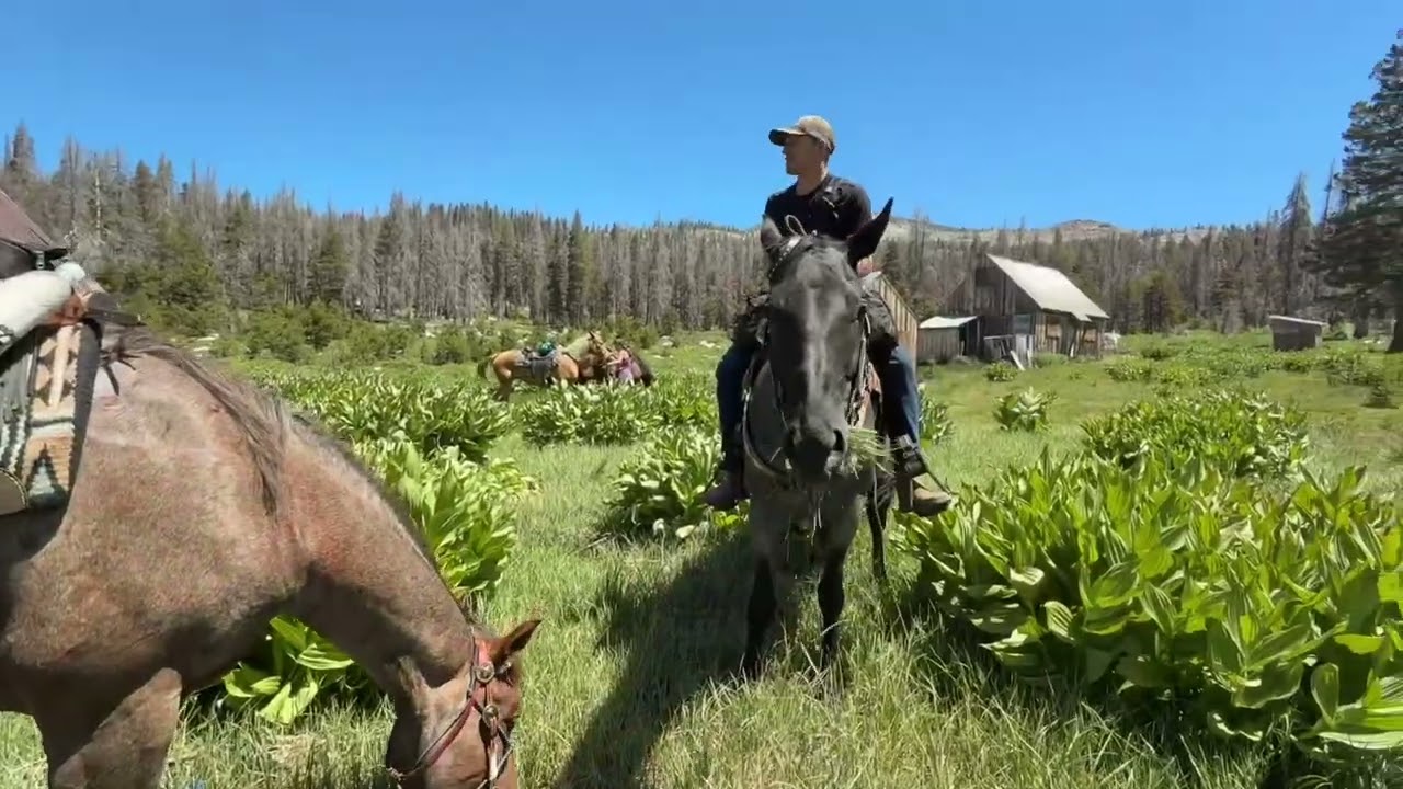 California Horse Trails - Forni Meadows (Kyburz, CA)