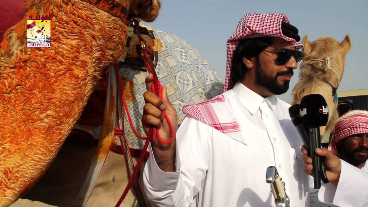 لقاء خاص مع جارالله محمد طالب عقيل عقب تتويج الدوحة بالسيف الفضي الحيل المفتوح للأشواط العامة بمهرج