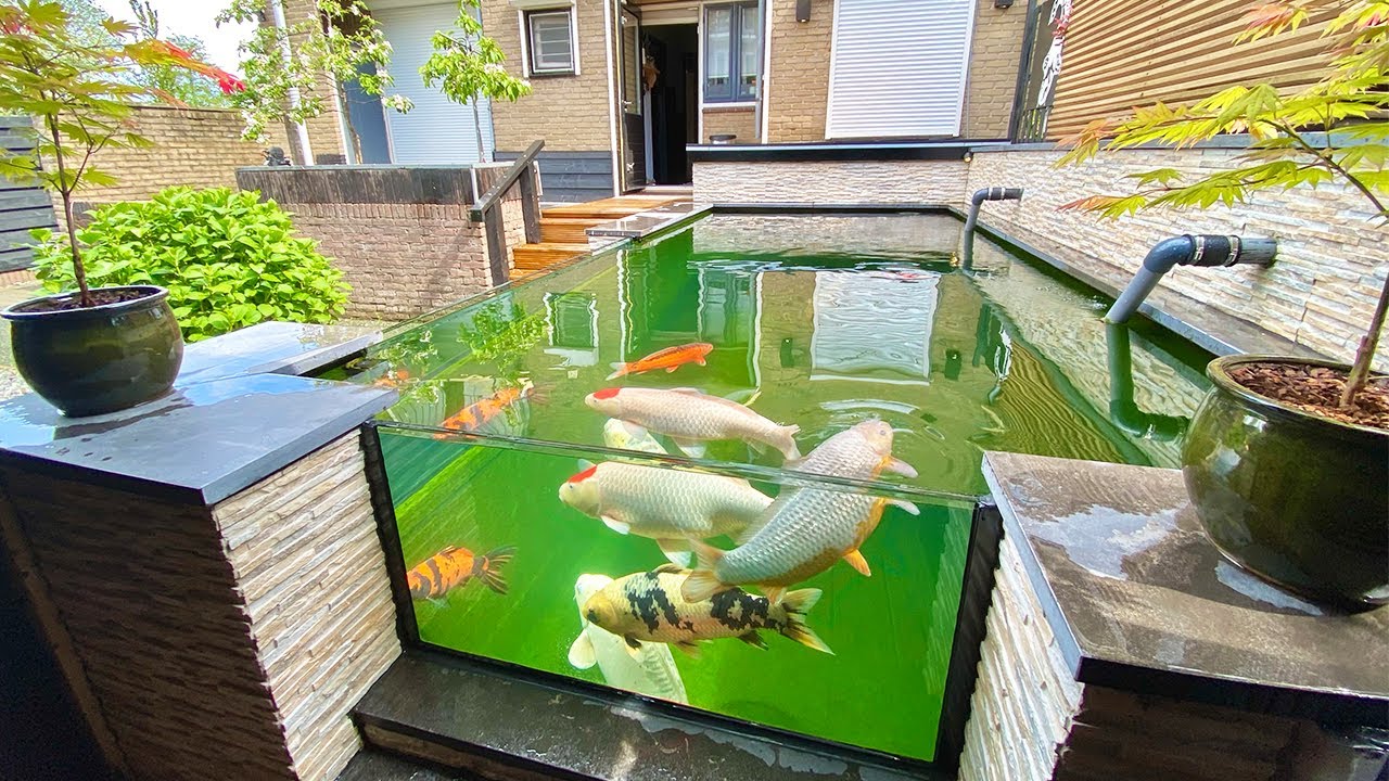 Great KOI POND Design with GLASS *Automatic Filtration Lift