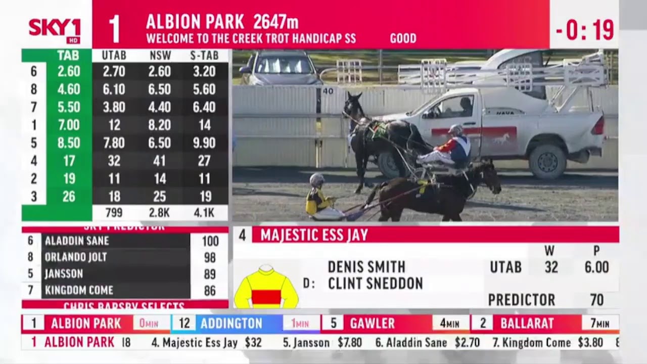 Horse Racing Global Live Stream