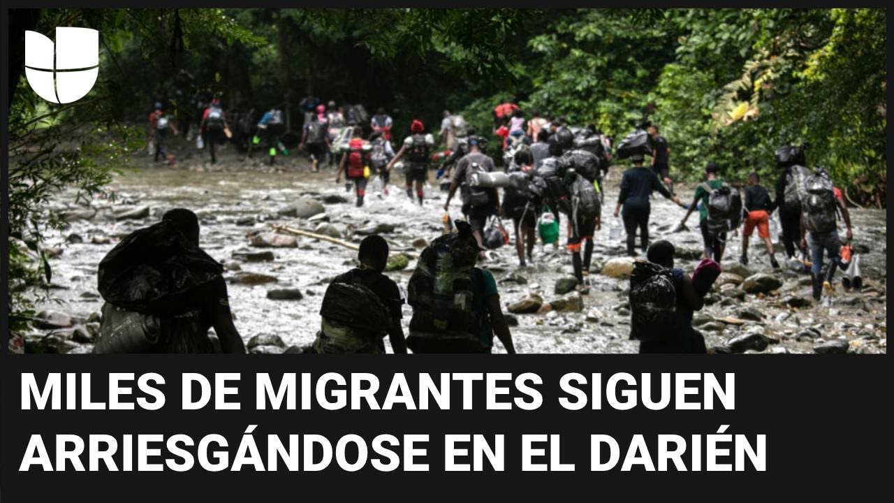 Migrantes se arrepienten de cruzar la selva de Darién para llegar a EEUU: 