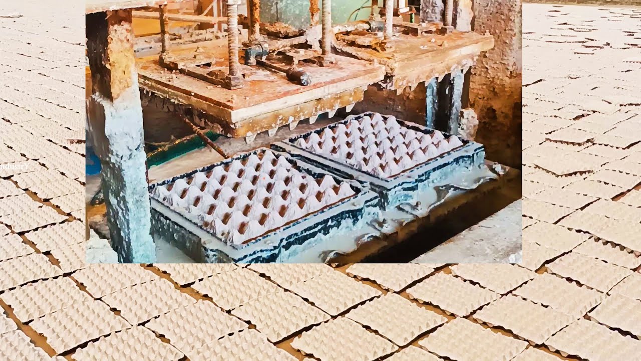 EGG TRAY Manufacturing with Waste Paper | Fully Automated Egg Cartoon making | Small Scale Industry