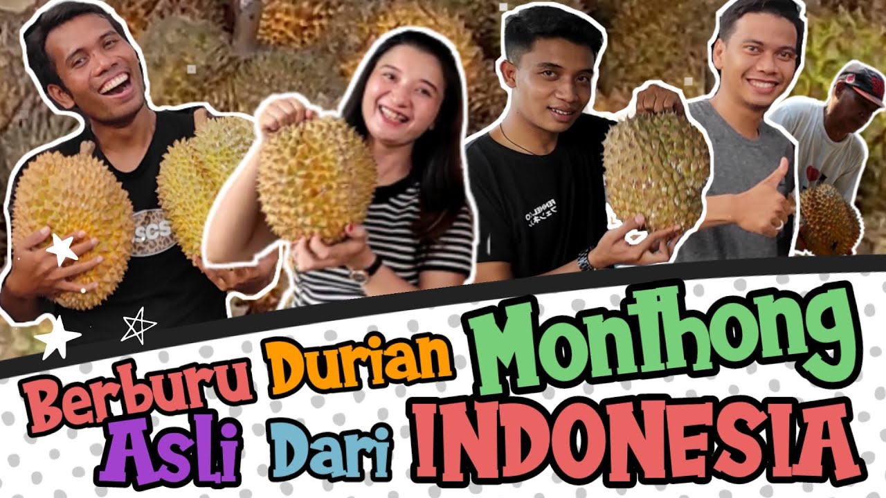 Berburu Durian Montong Banyuwangi II Asal muasal Durian Montong II Udin Holiday 2021 II Episode #01