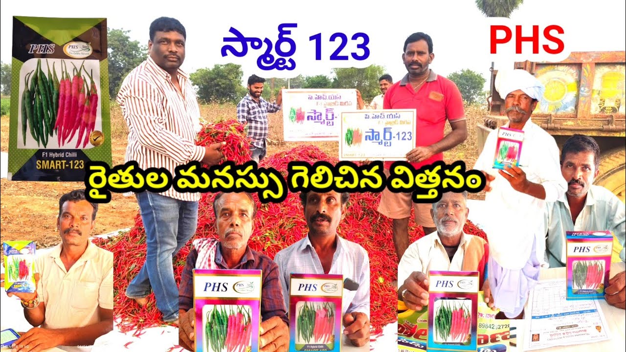 #Top chilli seeds telugu|Best mirchi seeds #2026|Mirapa vithanalu|Smart chilli seed|telugu agritech