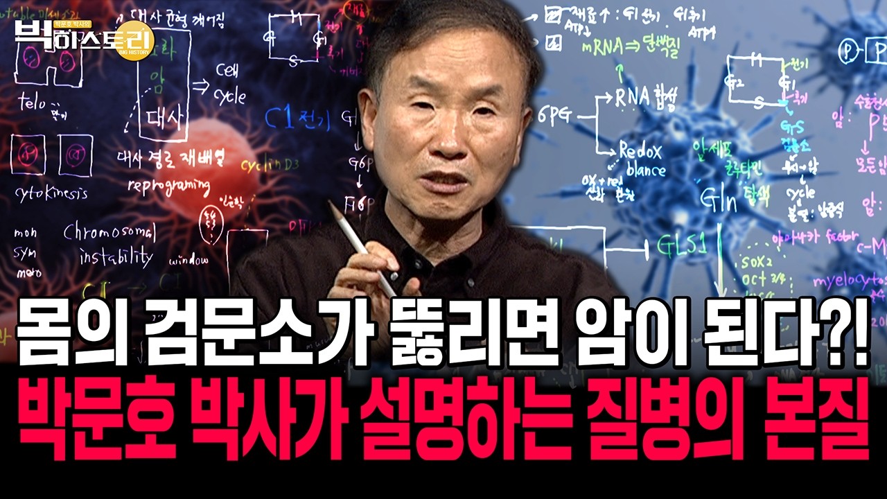 몸의 검문소가 뚫리면 암이 된다?! 박문호 박사가 설명하는 질병의 본질| 박문호박사의 빅히스토리 EP.63 #박문호 #과학강의 #인문학강의