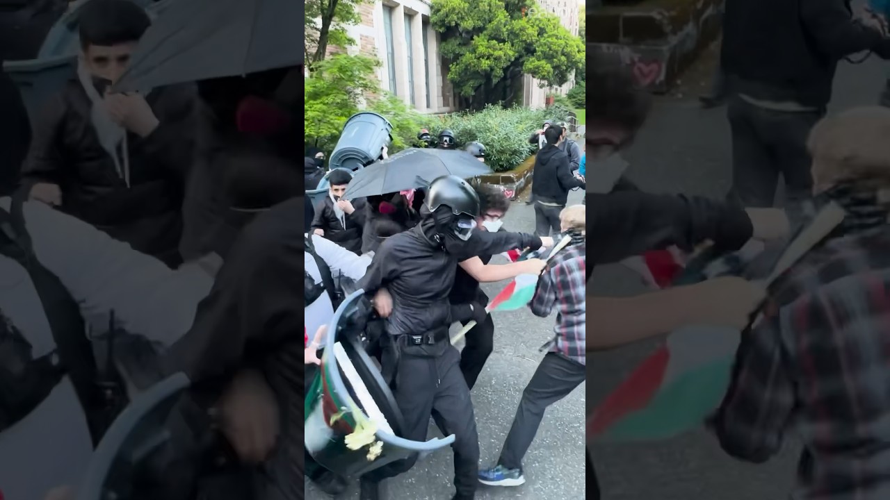 Что мы увидели на антифашистском протесте в Палестине в Университете Западной Вирджинии