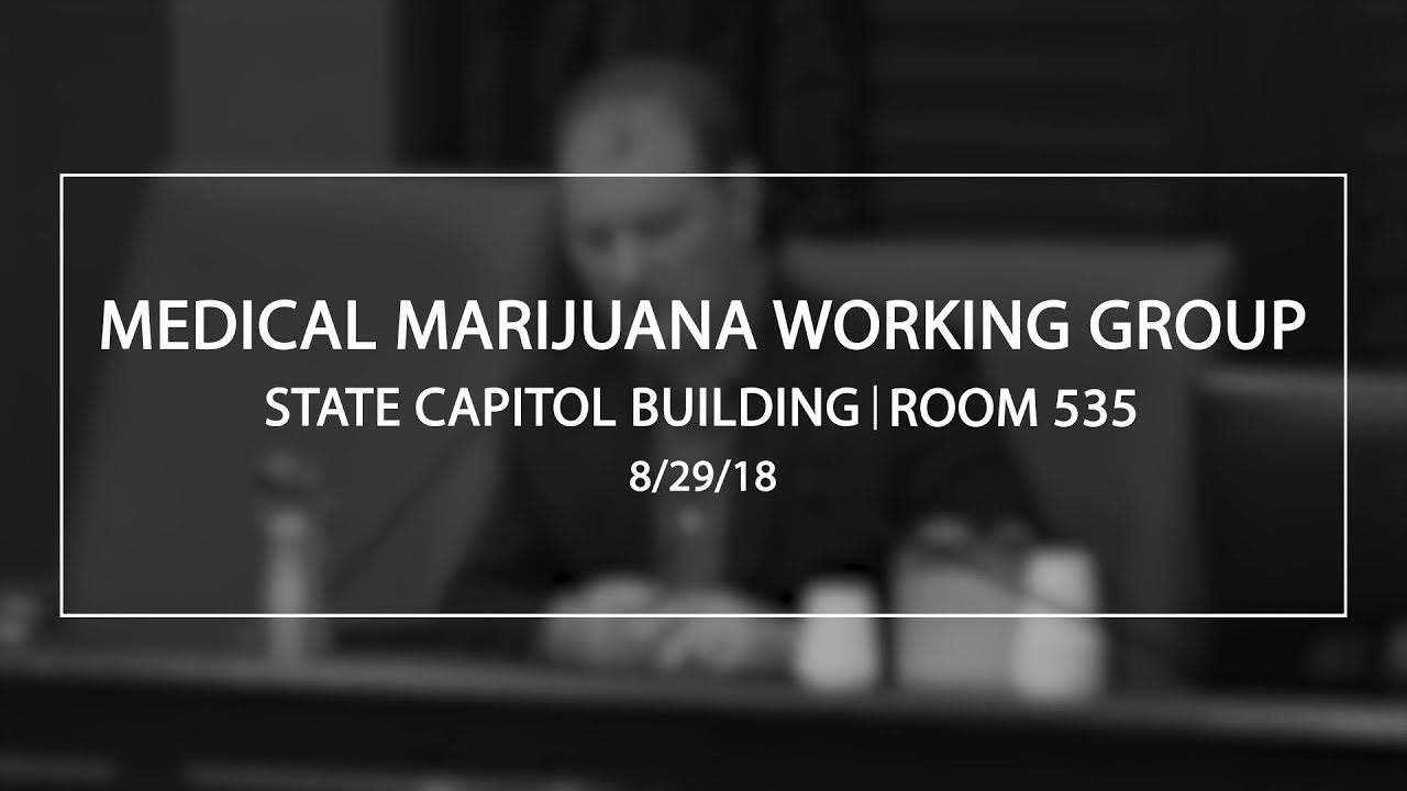 Medical Marijuana Working Group 8/29/18