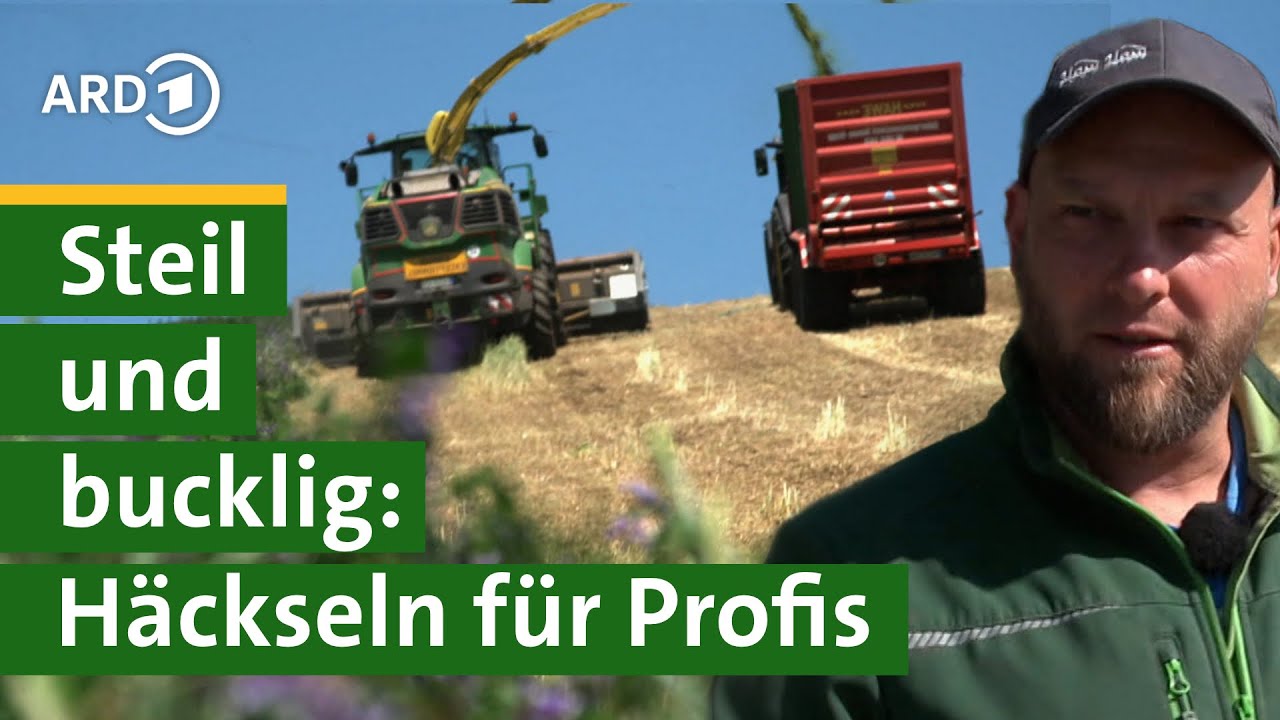 Roggen häckseln für Biogasanlage: Bauer Georg am Steilhang - Hofgeschichten #15 | Unser Land | BR