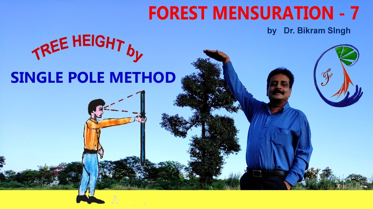 Forest Mensuration / Biometry : 7 Single Pole Method for tree height measurement by Dr Bikram Singh