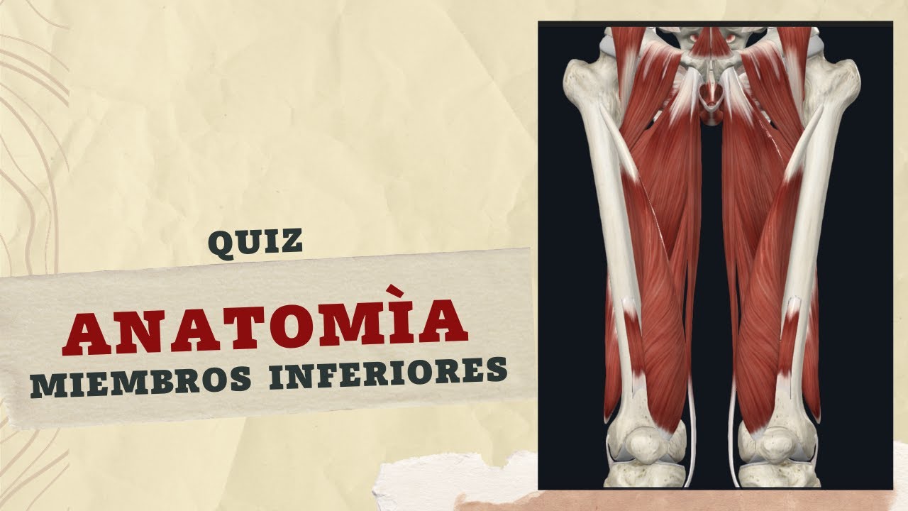 ¿QUE TANTO SABES DE MIEMBROS INFERIORES? EVALUATE CON ESTE QUIZ.