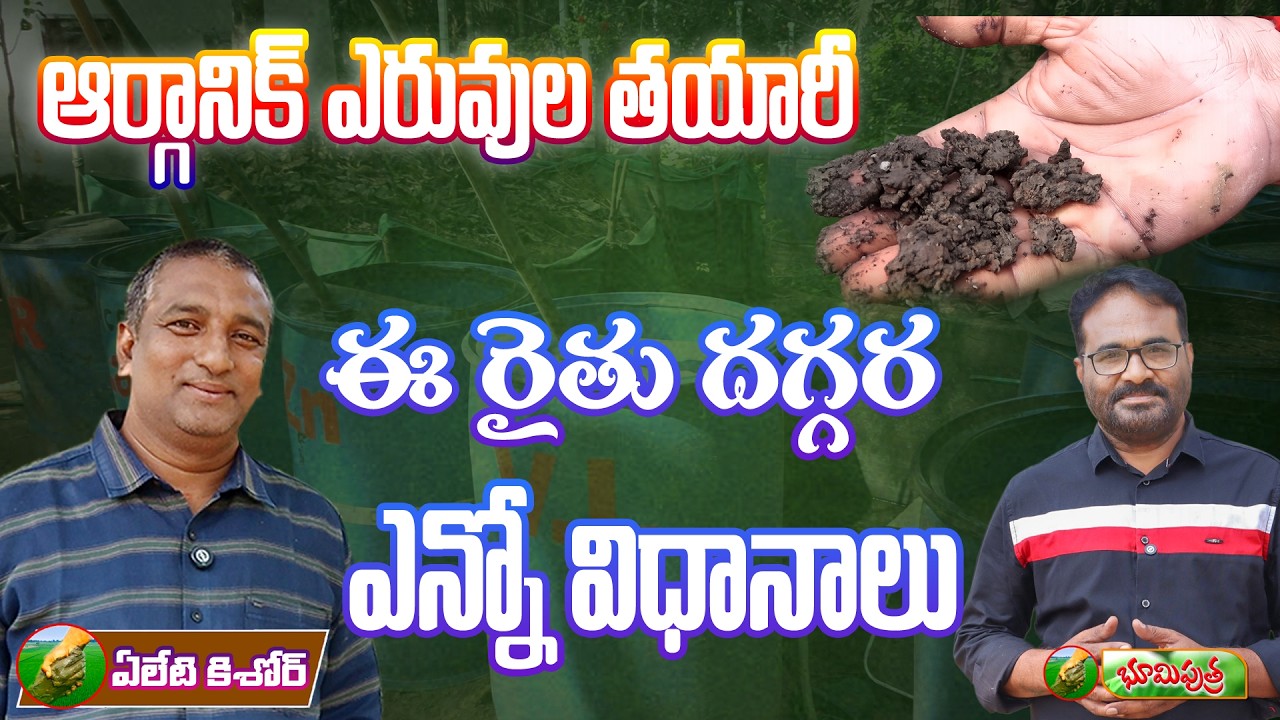 ఆర్గానిక్ ఎరువుల తయారీ | DYI Ogranic Fertilizer | bhumiputhra telugu