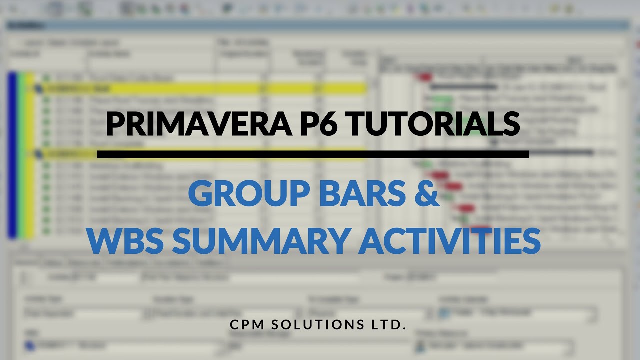 Primavera P6 Tutorial 6: What's The Deal with Groups Bars and How WBS Summary Activities Can Help