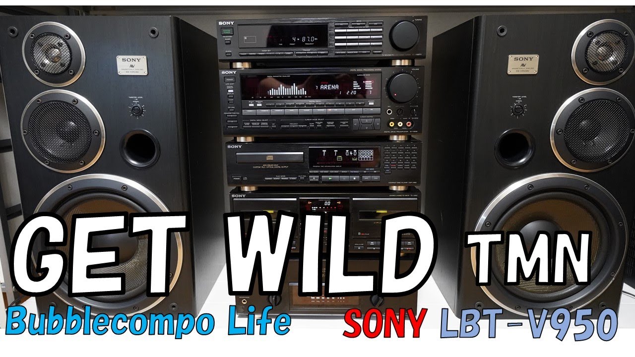 バブコン　SONY　Liberty 　LBT-V950　「GET WILD」「TMN」　てっぺんリバティ  バブコンライフ