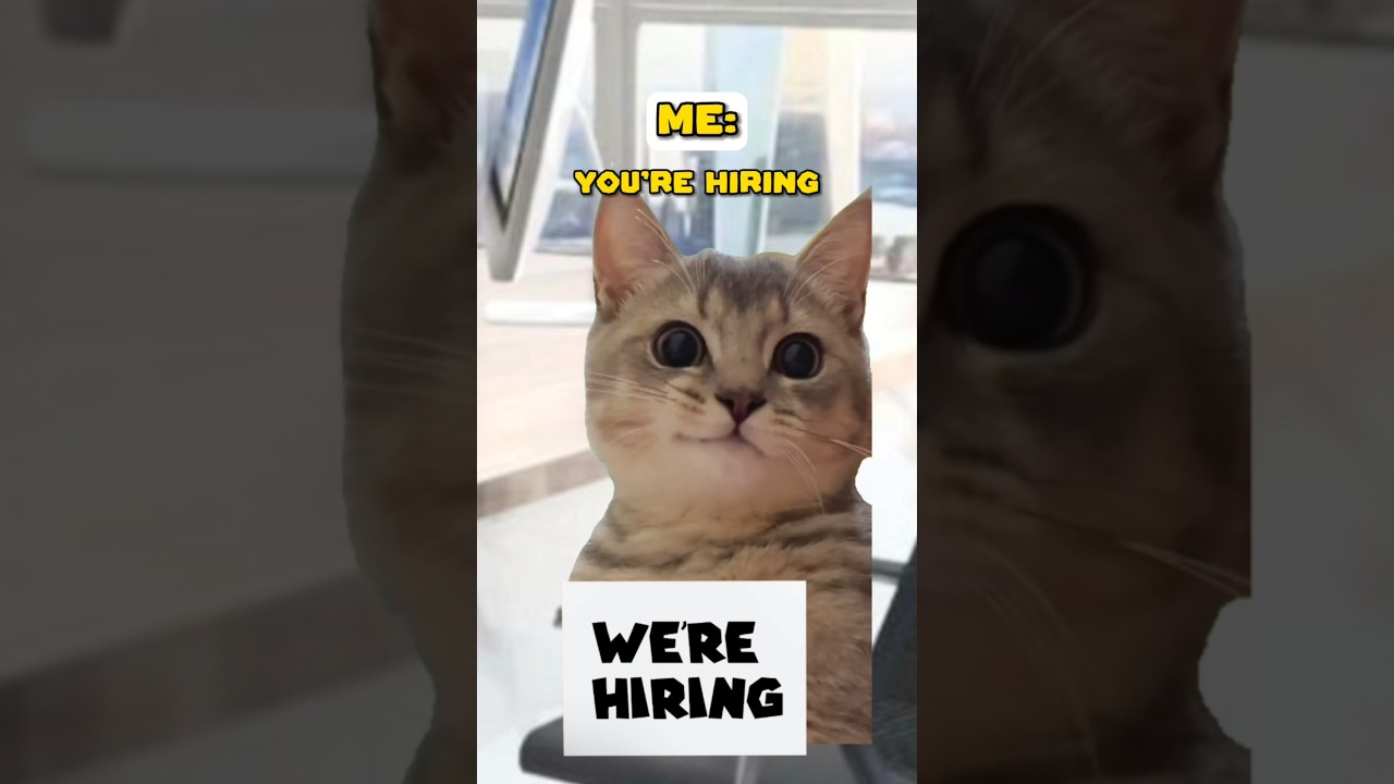 Job Interview: Smart and Direct (Cat Meme) @Ryanhdlombard #shorts