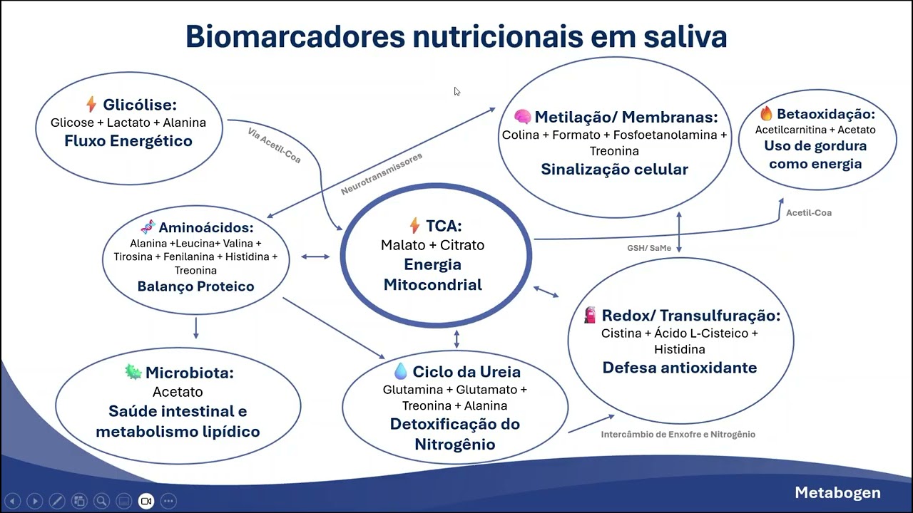 modulo 3 aula2