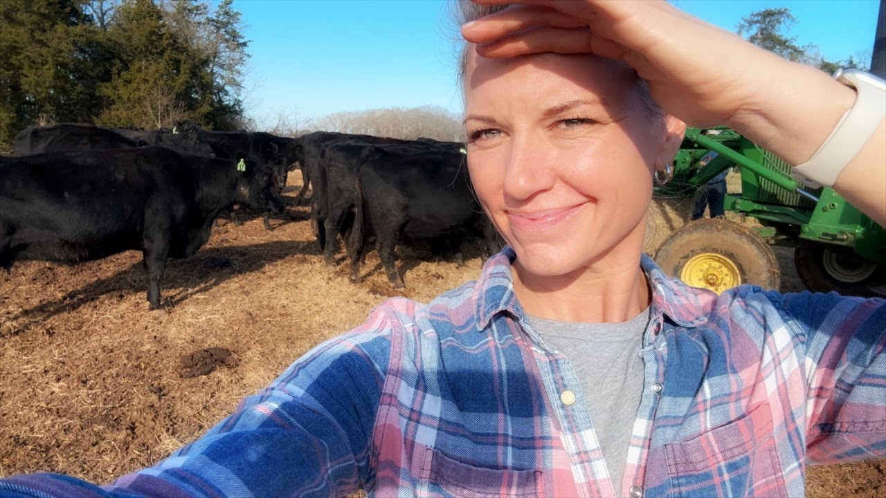 It Was a BIG Christmas for the Cows!