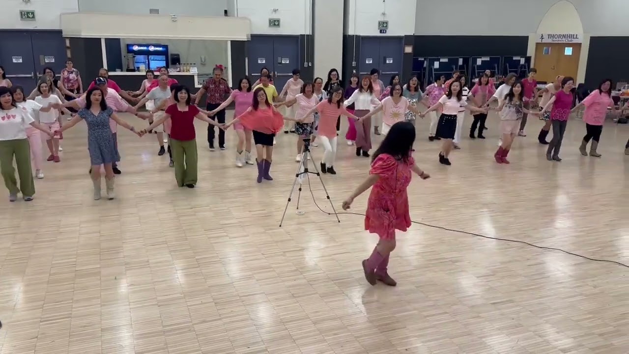 Wings to fly - absolute beginner line dance