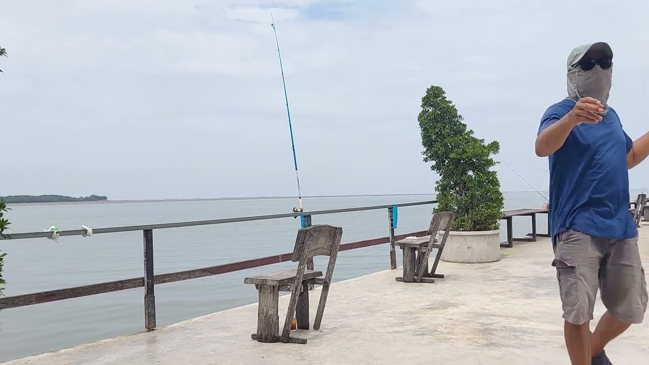 ตกปลาตอนน้ำลงต้องลากปลาผ่านดินเลน ที่แหลมใหญ่รีสอร์ท#ตกปลา #fishing #ตกปลากด