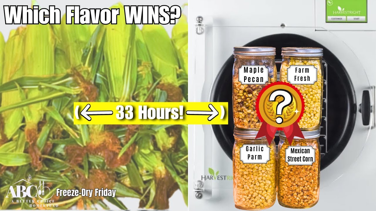 I Turned Sweet Corn Into 4 AMAZING Freeze-Dried Snacks