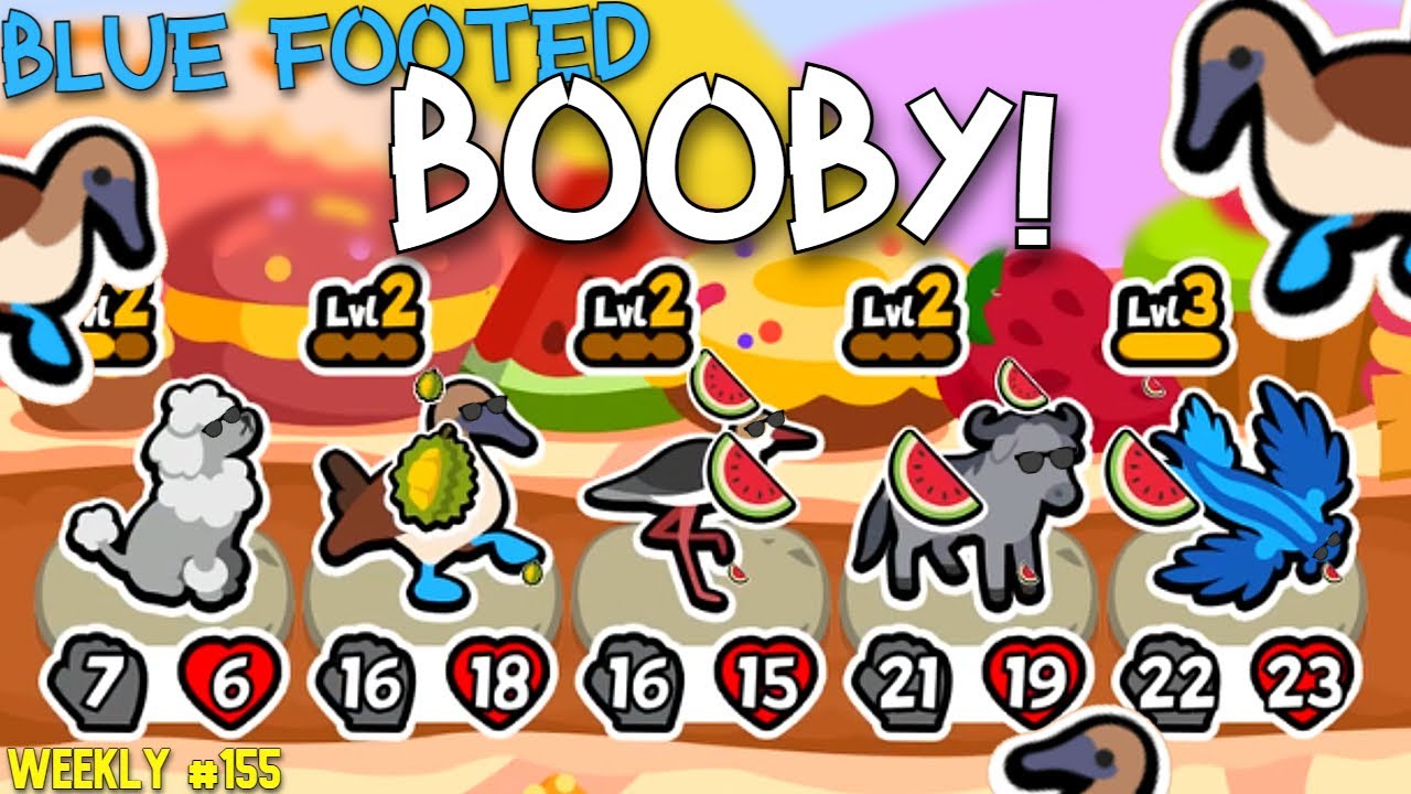 My Blue Footed Booby Dream Build! | Super Auto Pets