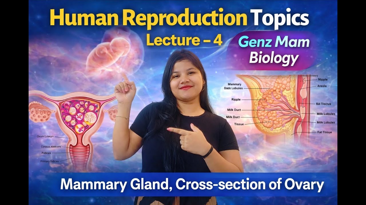 Human Reproduction| Mammary Gland & C.S. of Ovary| Lecture - 4| Class12 Biology| By GenZ mam Biology